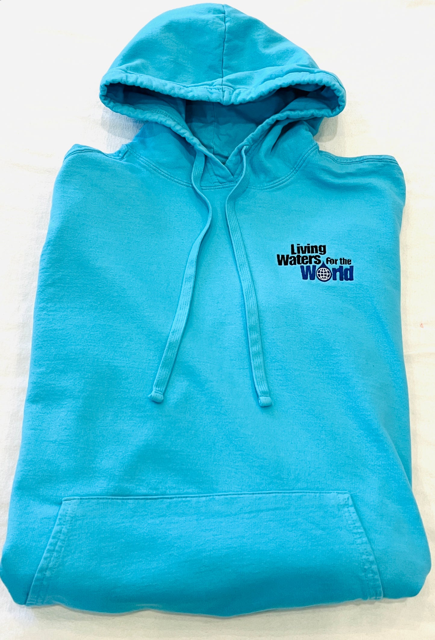 Living Waters Embroidered Hoodie - Tidal Wave Blue